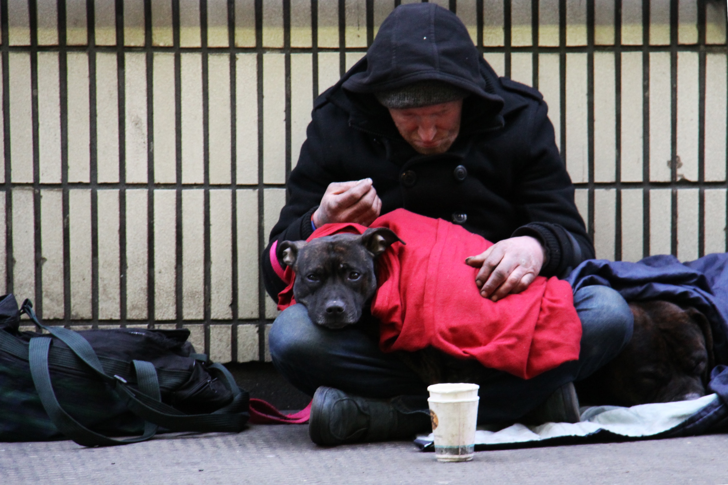 daniel-neiditch_homelessness-de-blasio